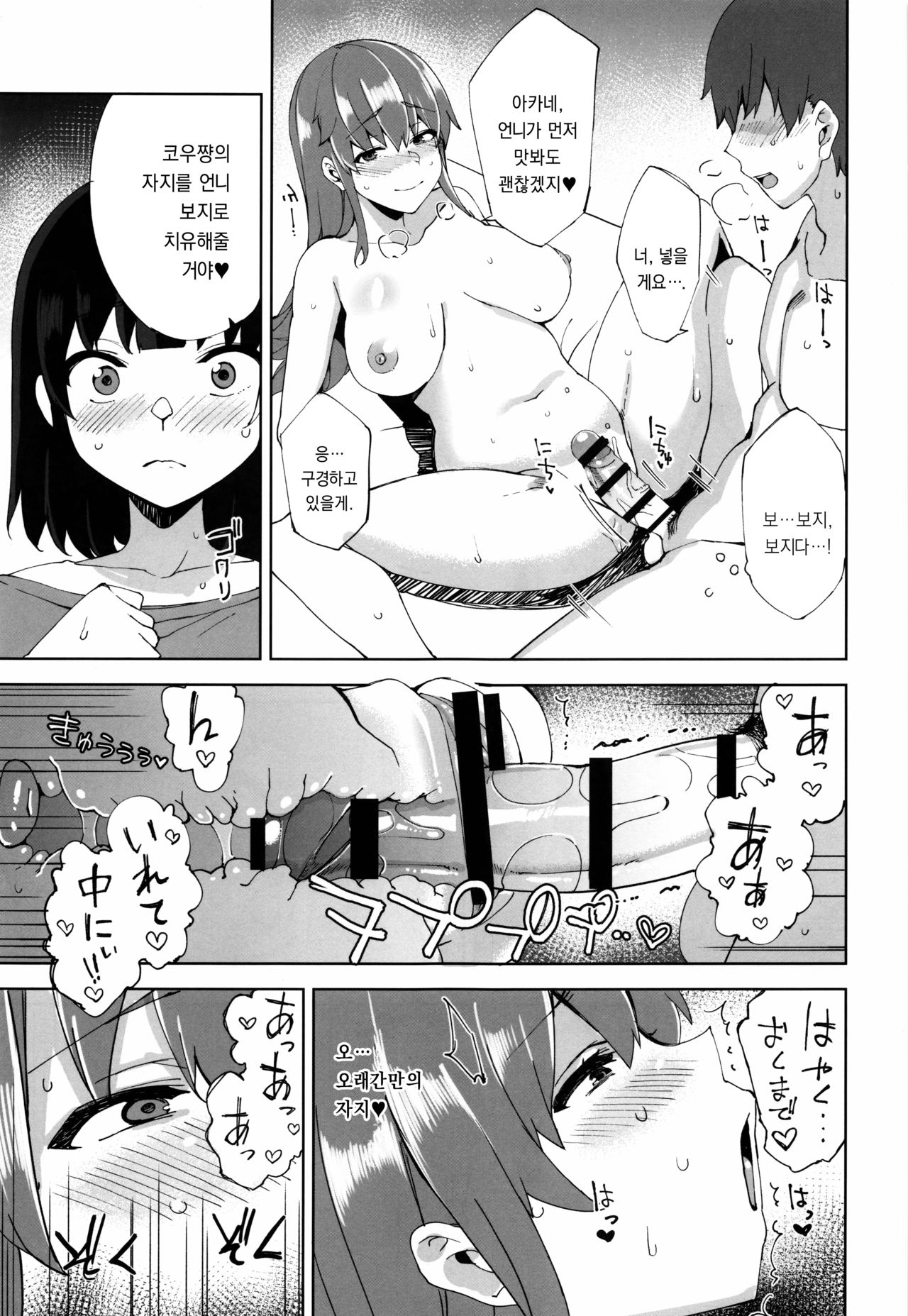 (C96) [Nukotigura (Nekonose Hajime)] Succubus Sisters [Korean] 图片编号 12