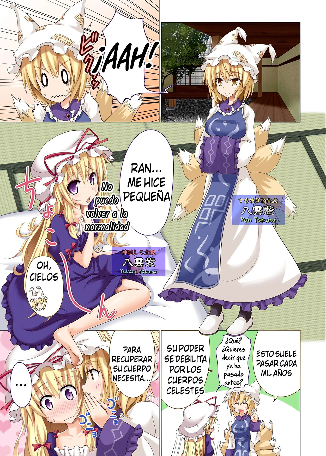 Gensoukyou Rakuenka Keikaku 04 (Spanish) imagen número 2