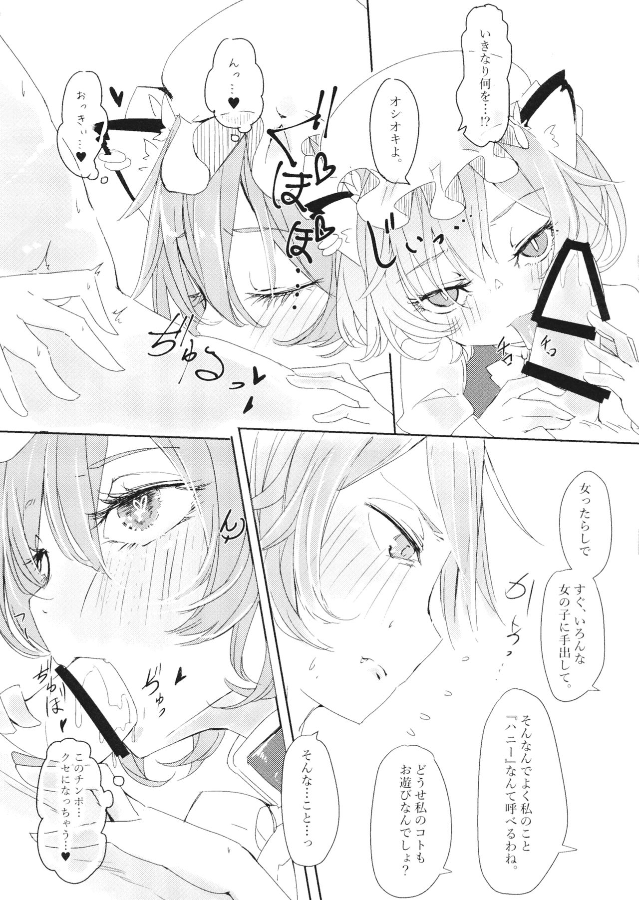 (Reitaisai 15) [Schwarz Libelle (Sisakugata)] Himegoto Kairaku (Touhou Project) image number 14