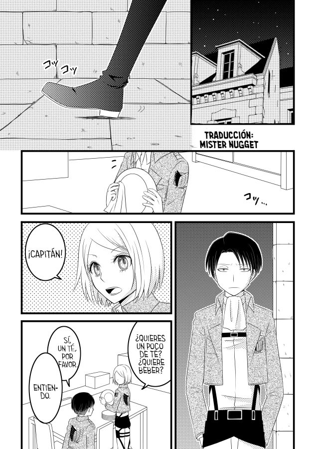 【C87】[Nanaki ] Ever After (Shingeki no Kyojin) [Spanish] [Mr. Nugget] image number 3