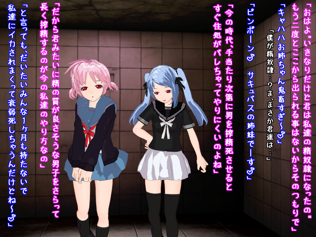 サキュバス姉妹の搾精地獄～監禁編～ Bildnummer 8