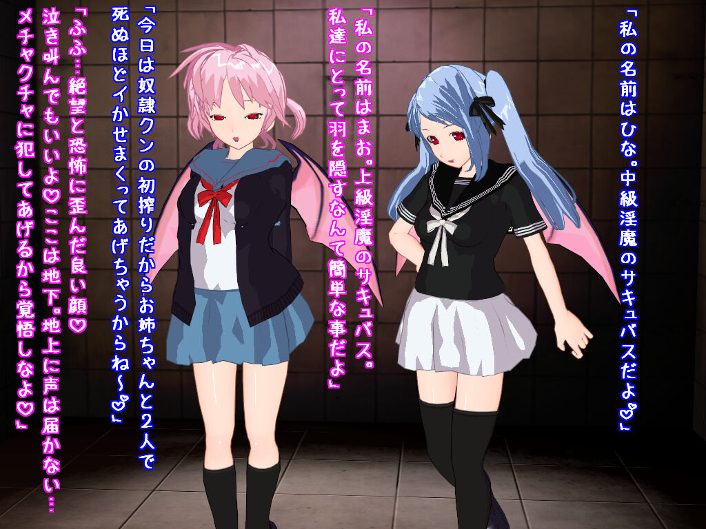 サキュバス姉妹の搾精地獄～監禁編～ Bildnummer 10