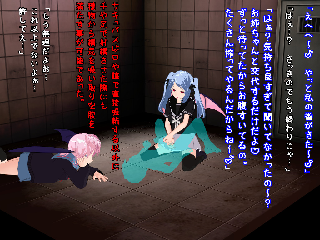 サキュバス姉妹の搾精地獄～監禁編～ Bildnummer 23