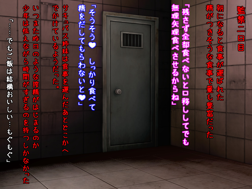 サキュバス姉妹の搾精地獄～監禁編～ Bildnummer 39