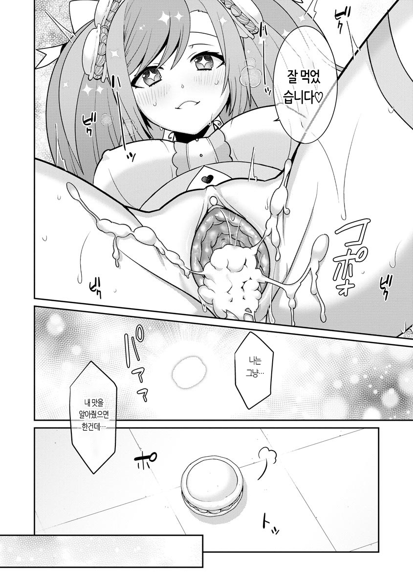 유메카와 마법소녀 유메룽 image number 24