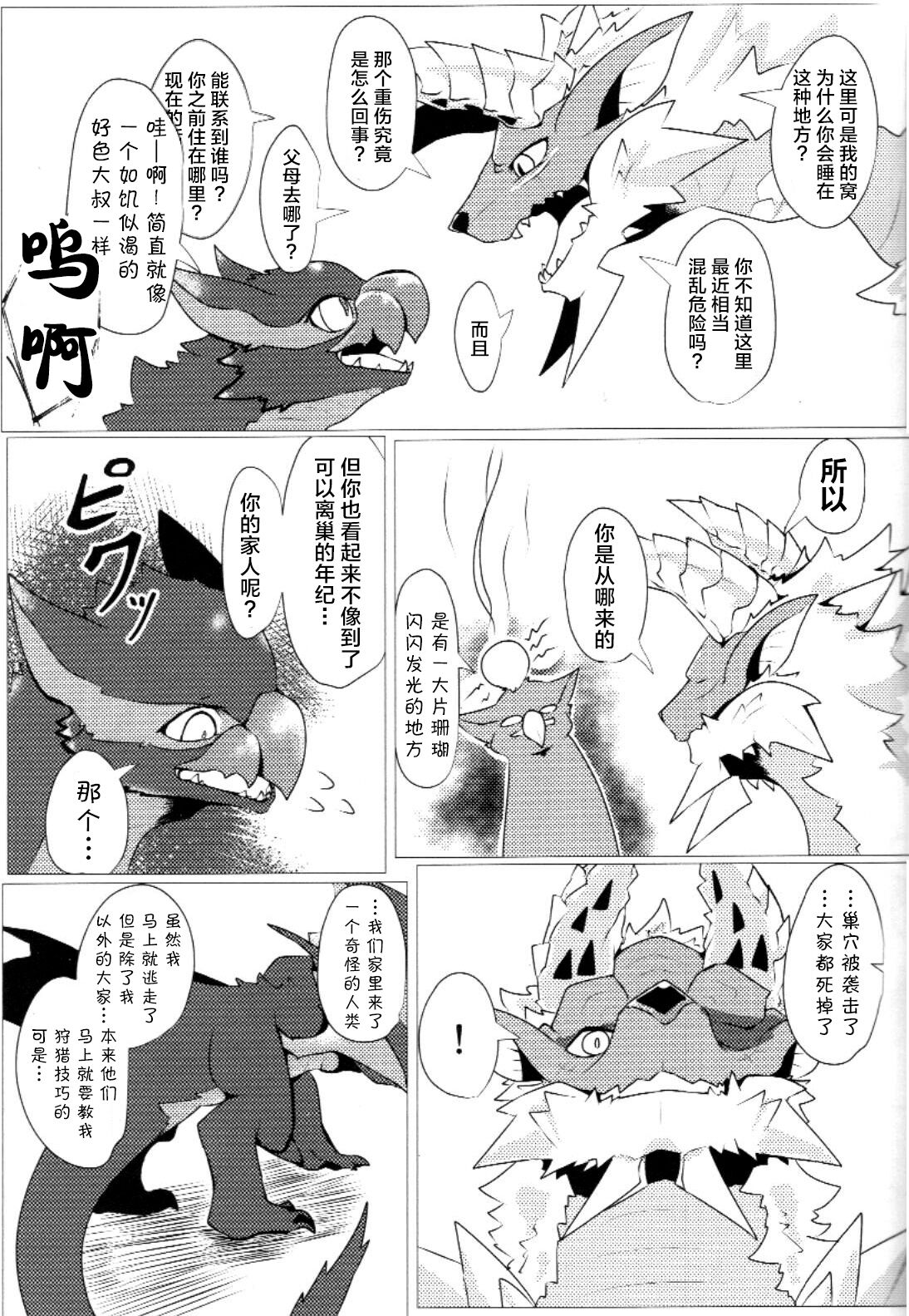 [increase増田 (Feruta)] Aoki Hoshitokazeni Michibikarete | 愿苍蓝的星风为你引路 (Monster Hunter) [Chinese] [ZX个人汉化] изображение № 12