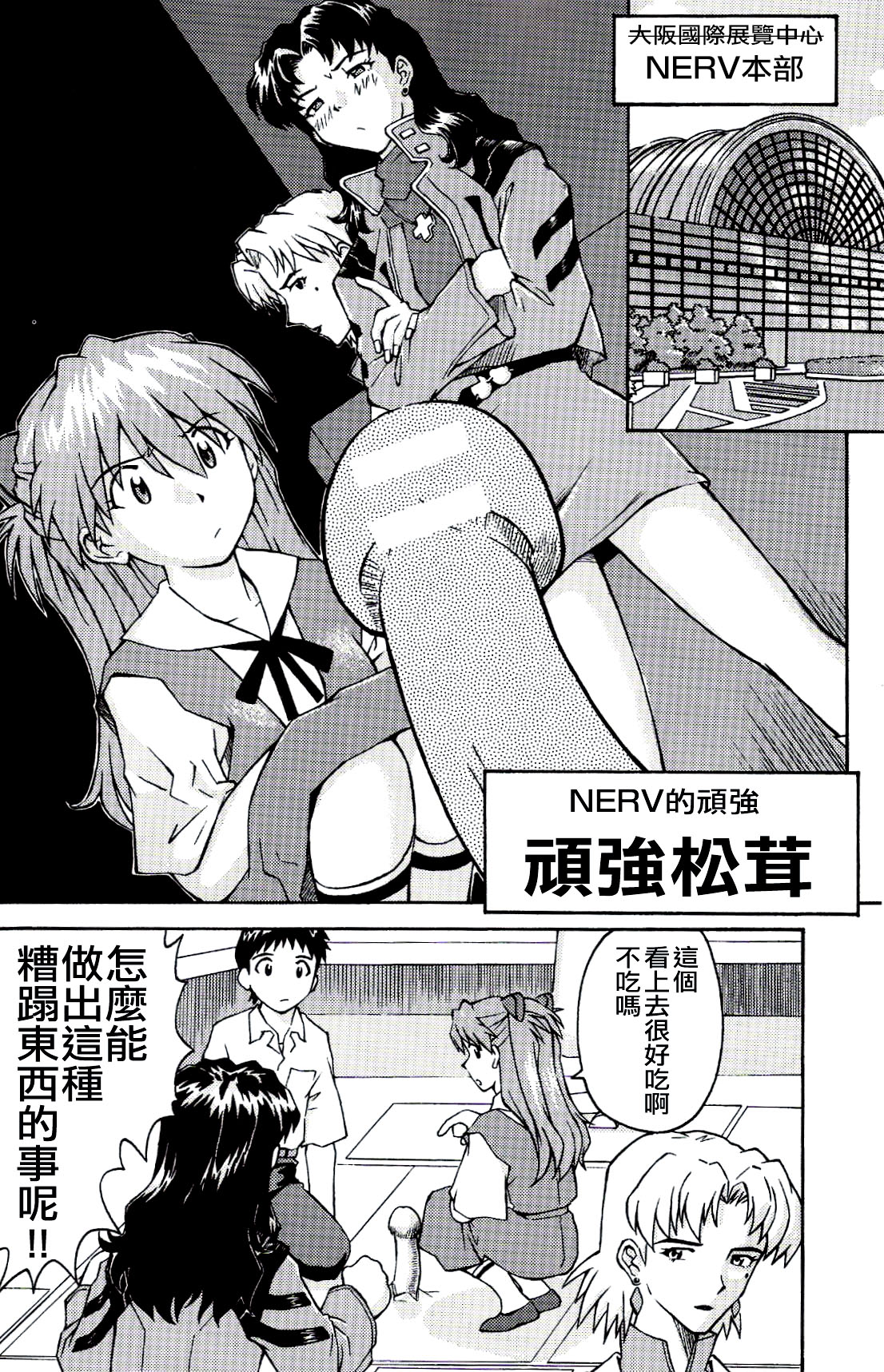 (C71) [TENGU NO TSUZURA (Kuro Tengu)] A Wild Fancy (Neon Genesis Evangelion) [Chinese] image number 8