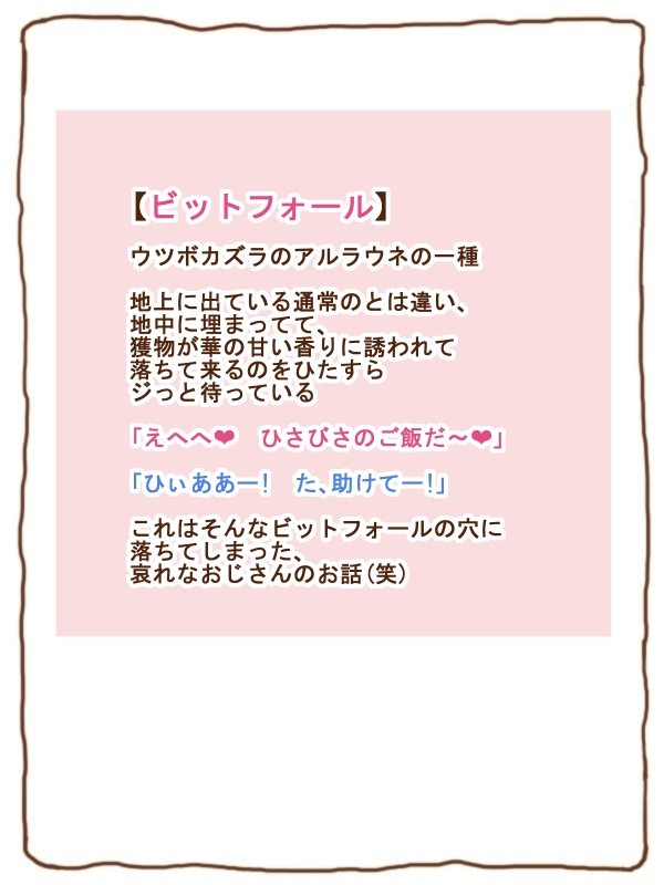 100円まもの娘シリーズ「ビットフォール」 image number 1