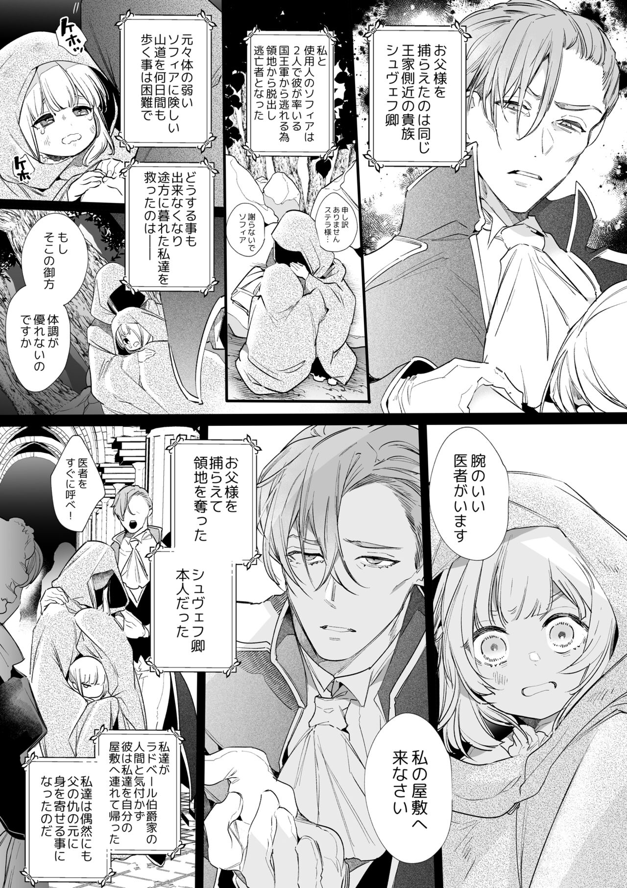 (同人誌)【Yatomomin ( 山本ともみつ )】悪役になれなかった追放令嬢は甘く優しく壊される～幼なじみ伯爵子息の溺愛監禁調教～ (DL版) Bildnummer 12