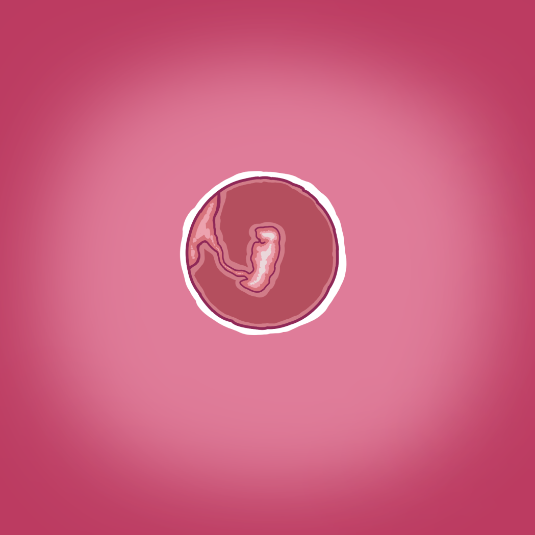 [Straw] Yumi's Study Abroad (Day 1, Week 7 - 19) [English] 이미지 번호 34