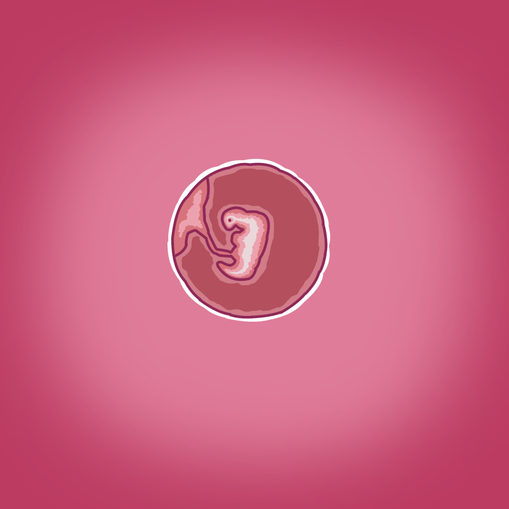 [Straw] Yumi's Study Abroad (Day 1, Week 7 - 19) [English] 이미지 번호 43