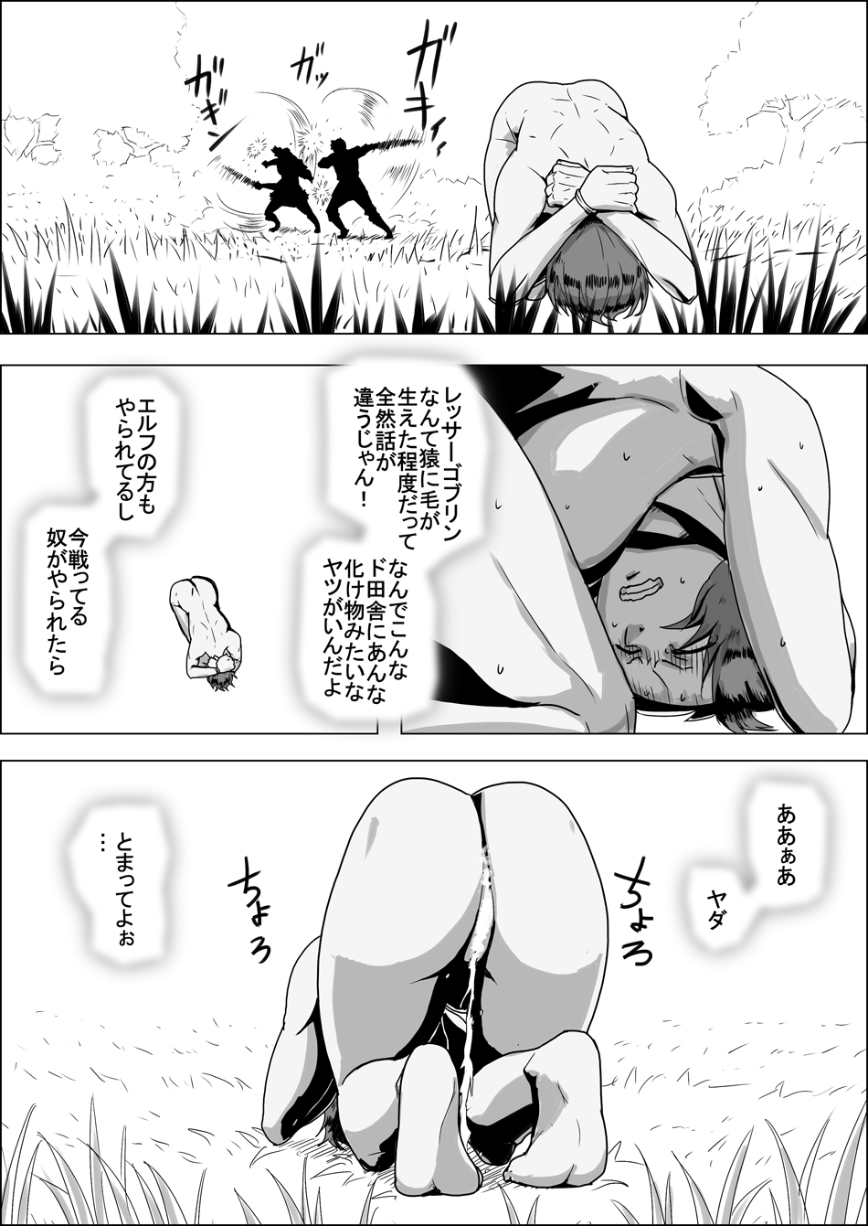 [atelier-D] Mada Daimei no Nai Fantasy - Jimi na Elf to Minarai no Senshi IX imagen número 2