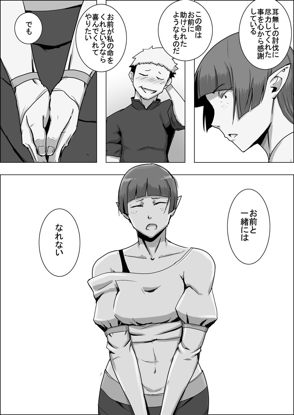 [atelier-D] Mada Daimei no Nai Fantasy - Jimi na Elf to Minarai no Senshi IX imagen número 25