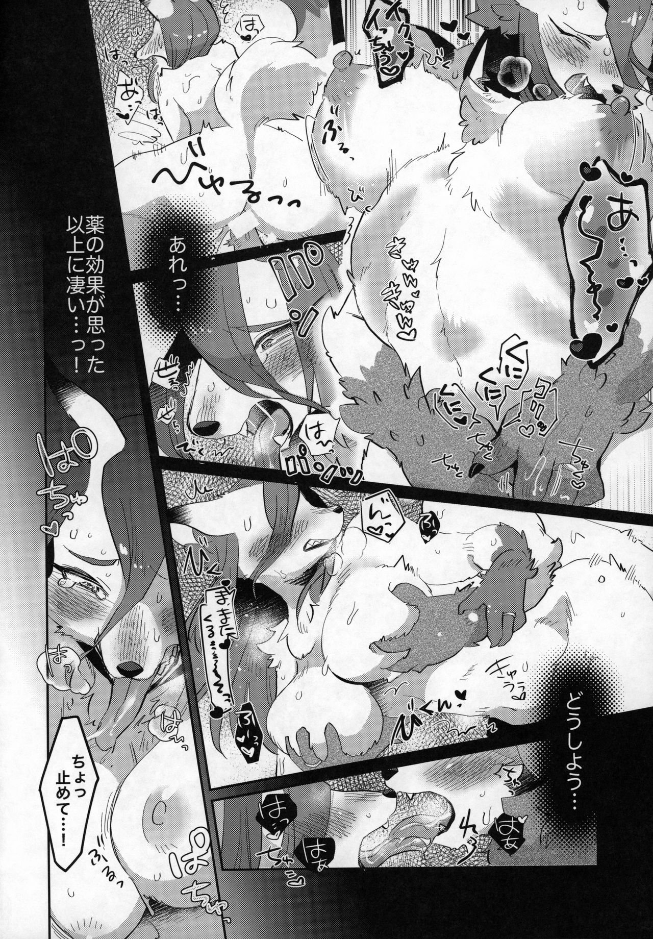 (Kansai! Kemoket 8) [moffle (mabo)] Candy is Dandy imagen número 15