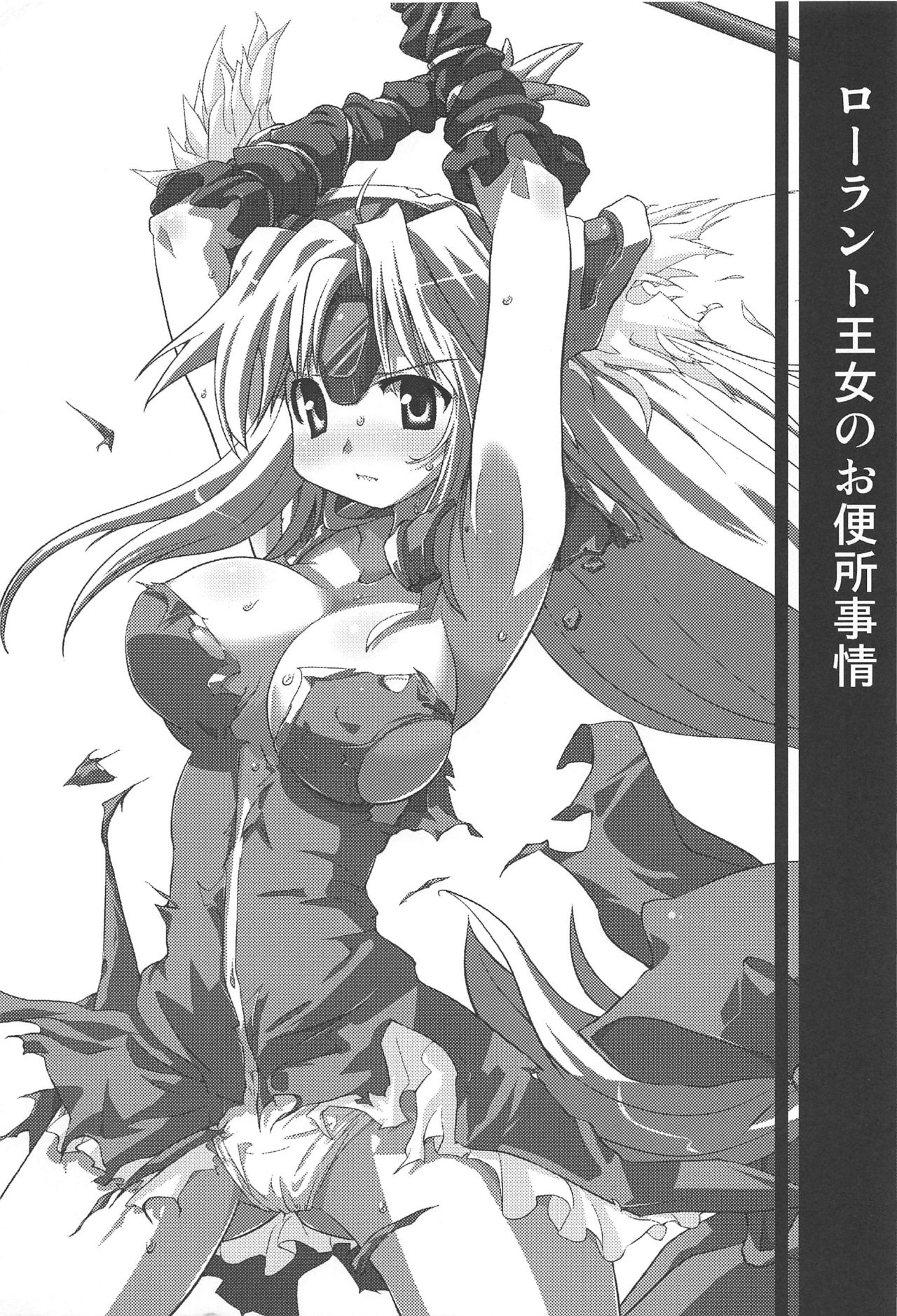 (C81) [Naginata Kikaku (Hirowa Nagi)] RGB21 (Seiken Densetsu 3, Queen's Blade) 4eme image