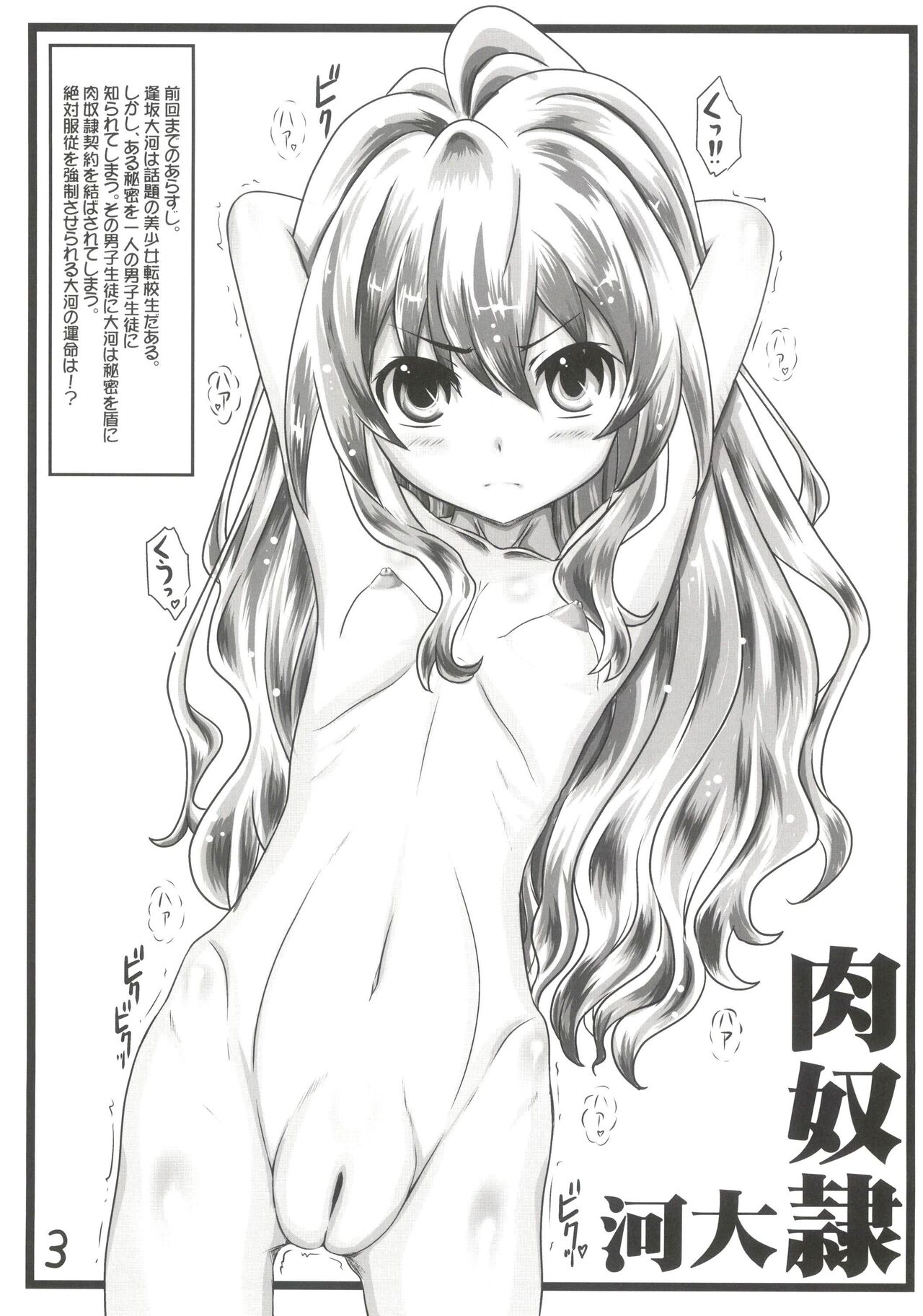 (C89) [Marukane Teikoku (AIM)] Nakadashi! Tiger II (Toradora) image number 3