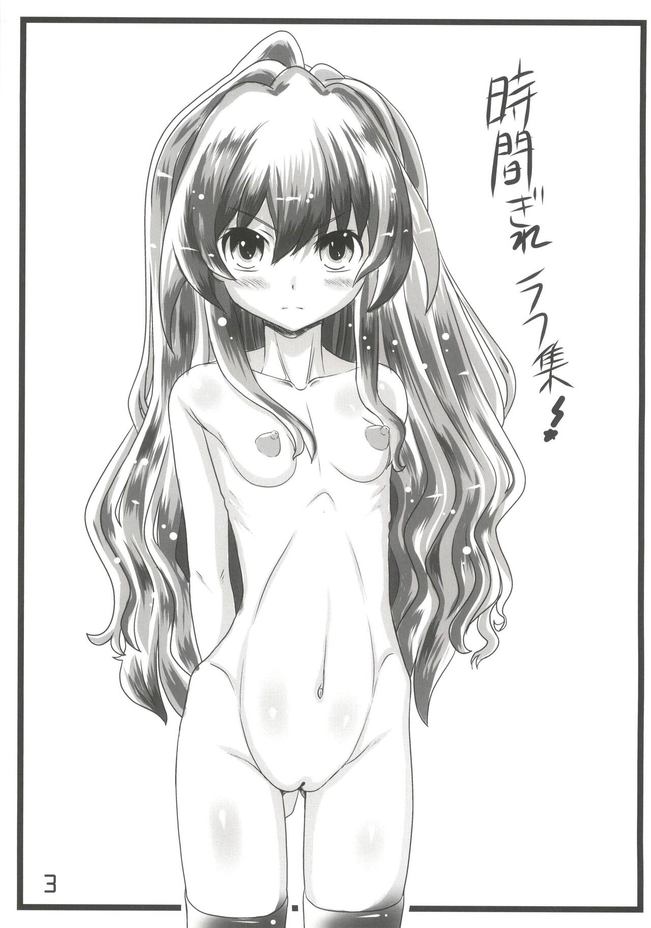 (C91) [Marukane Teikoku (AIM)] Nakadashi! Jagdtiger (Toradora) image number 3