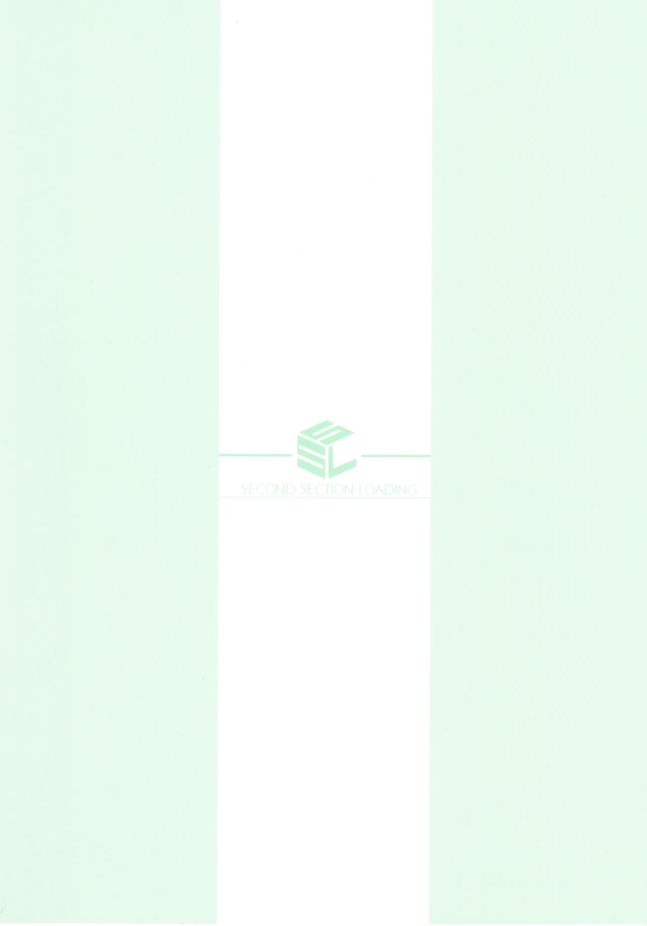 (C96) [S.S.L (Yanagi)] Rider-san to Hadawai. | Райдер в рубашке на голое тело. (Fate stay night) [Russian] [Илион] 画像番号 22