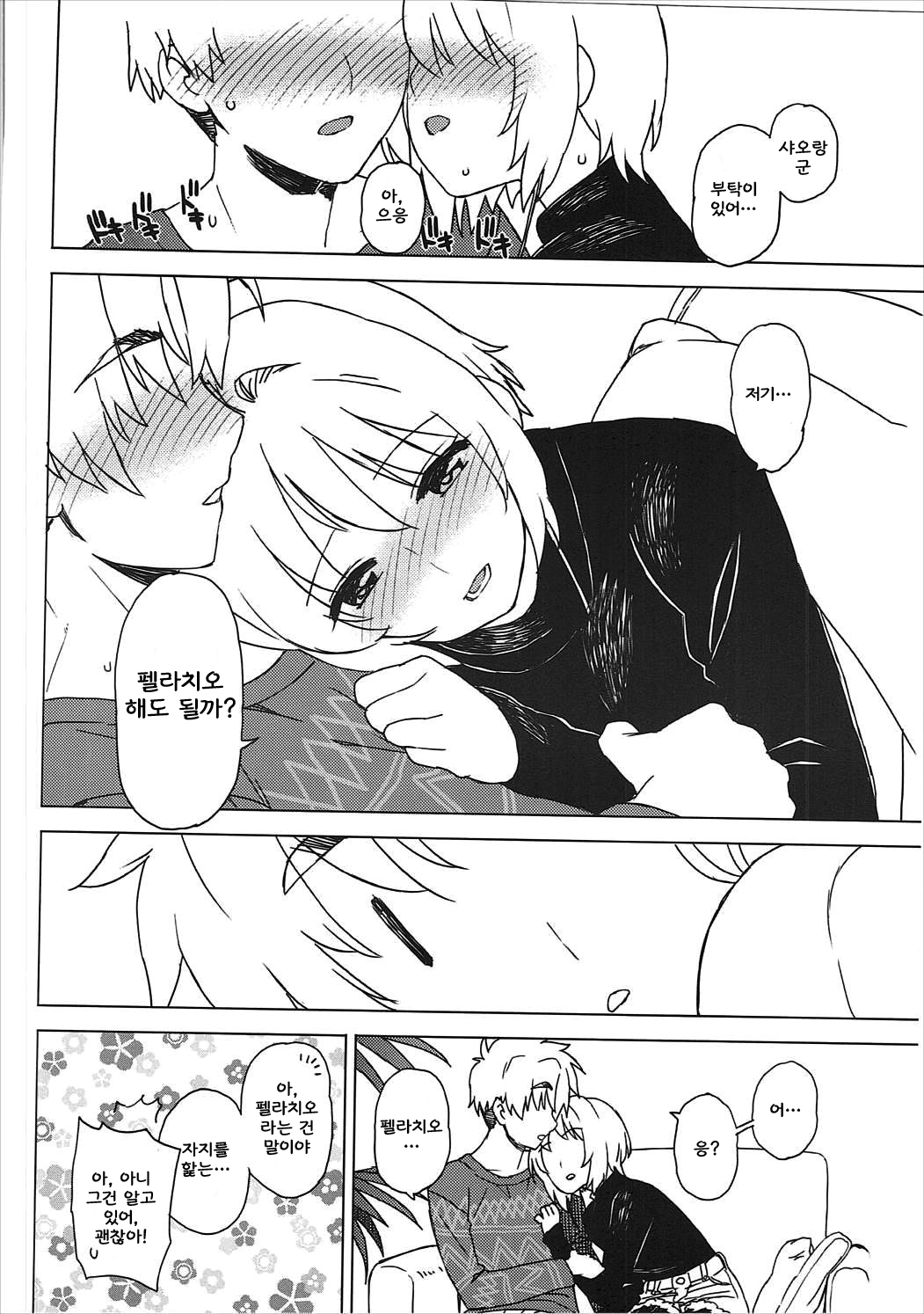 (C91) [MURDERHOUSE (Workaholic)] Kotaete! Syaoran-kun (Cardcaptor Sakura) [Korean] 이미지 번호 11