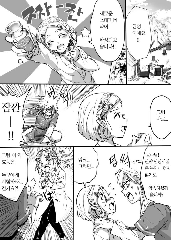 [Wasabi] Anzen de Kensen na Okusuri o Nomou! | 안전하고 건전하게 약을 먹자! (The Legend of Zelda: Breath of the Wild) [Korean] 画像番号 2