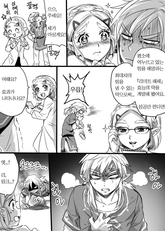 [Wasabi] Anzen de Kensen na Okusuri o Nomou! | 안전하고 건전하게 약을 먹자! (The Legend of Zelda: Breath of the Wild) [Korean] 画像番号 3