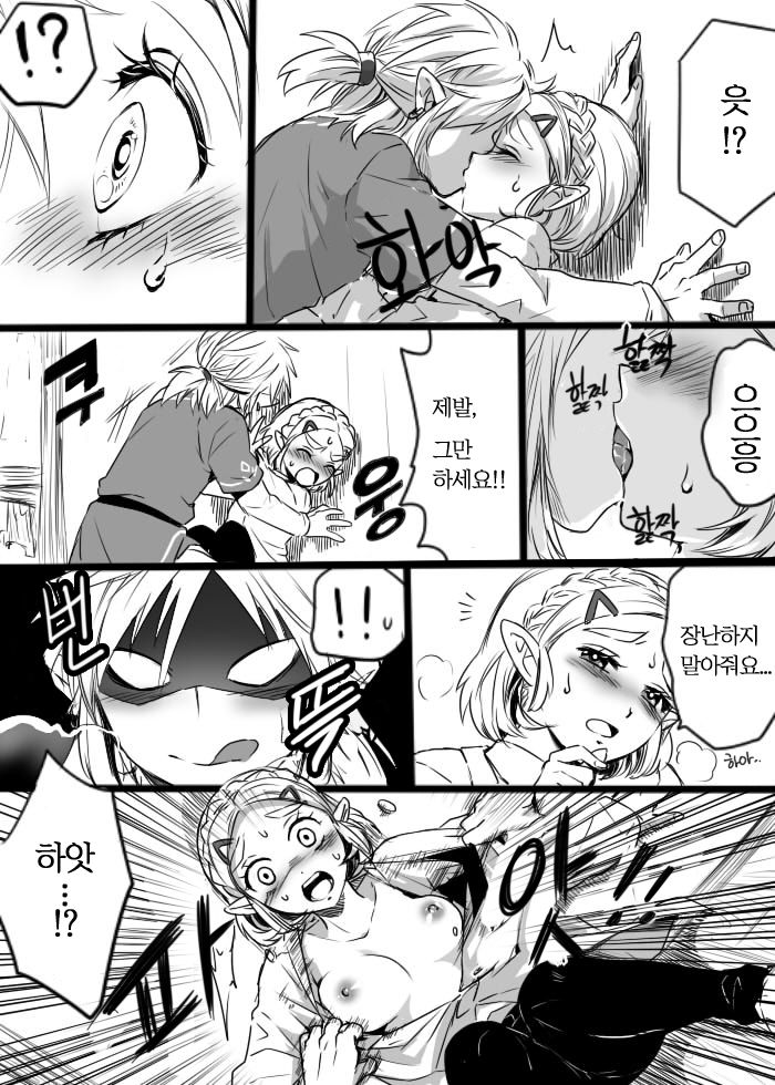 [Wasabi] Anzen de Kensen na Okusuri o Nomou! | 안전하고 건전하게 약을 먹자! (The Legend of Zelda: Breath of the Wild) [Korean] 画像番号 5