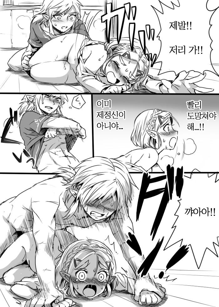 [Wasabi] Anzen de Kensen na Okusuri o Nomou! | 안전하고 건전하게 약을 먹자! (The Legend of Zelda: Breath of the Wild) [Korean] 画像番号 7