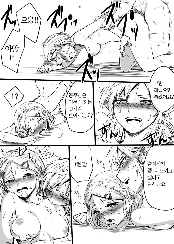 [Wasabi] Anzen de Kensen na Okusuri o Nomou! | 안전하고 건전하게 약을 먹자! (The Legend of Zelda: Breath of the Wild) [Korean] 画像番号 9