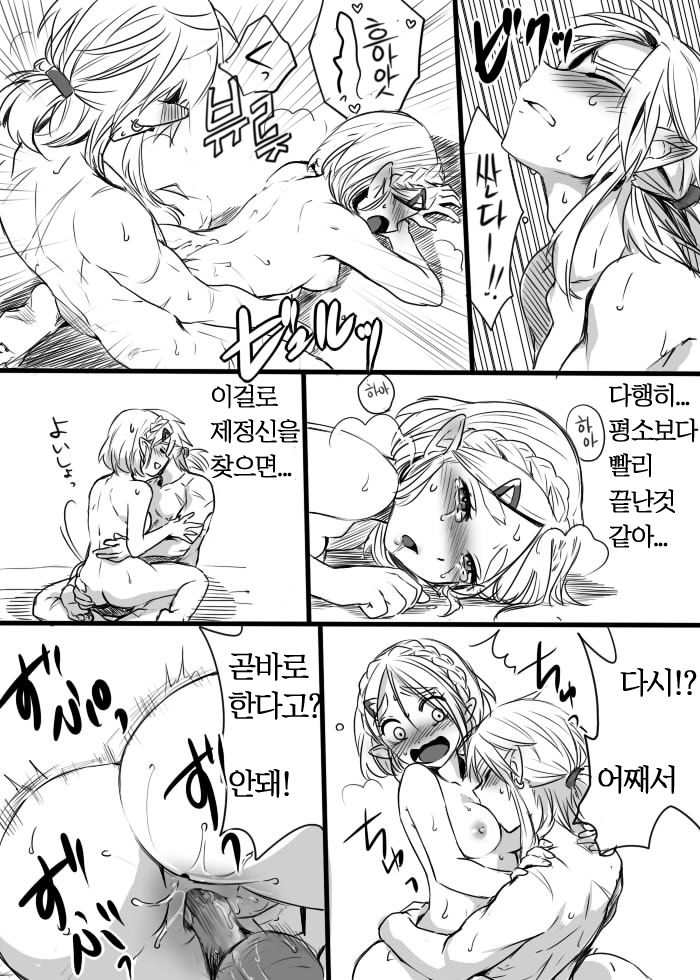 [Wasabi] Anzen de Kensen na Okusuri o Nomou! | 안전하고 건전하게 약을 먹자! (The Legend of Zelda: Breath of the Wild) [Korean] 画像番号 11