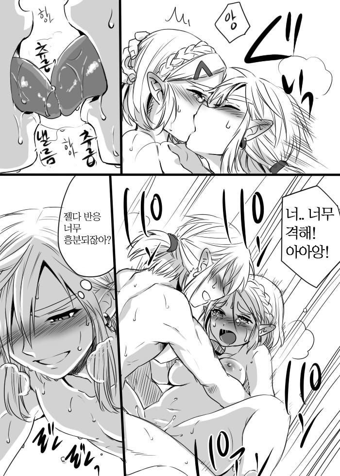 [Wasabi] Anzen de Kensen na Okusuri o Nomou! | 안전하고 건전하게 약을 먹자! (The Legend of Zelda: Breath of the Wild) [Korean] 画像番号 12