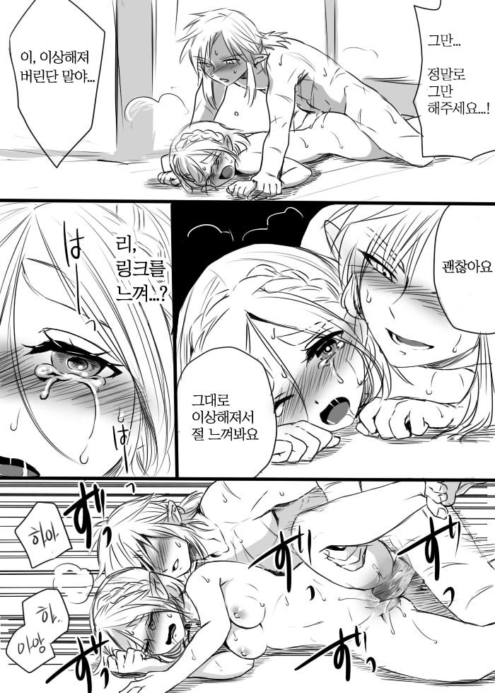 [Wasabi] Anzen de Kensen na Okusuri o Nomou! | 안전하고 건전하게 약을 먹자! (The Legend of Zelda: Breath of the Wild) [Korean] 画像番号 15