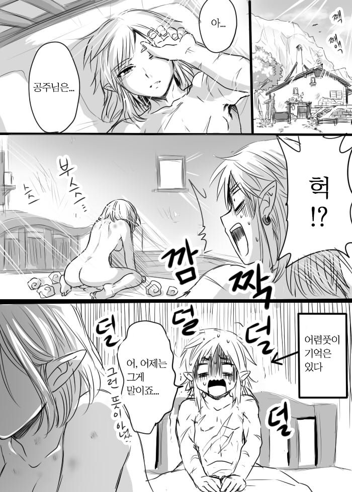 [Wasabi] Anzen de Kensen na Okusuri o Nomou! | 안전하고 건전하게 약을 먹자! (The Legend of Zelda: Breath of the Wild) [Korean] 画像番号 17