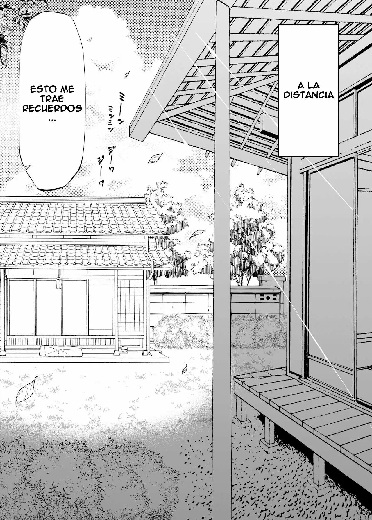 Reconciliacion en el verano -Las hermosas hermanas alejadas en el campo- 1 画像番号 13