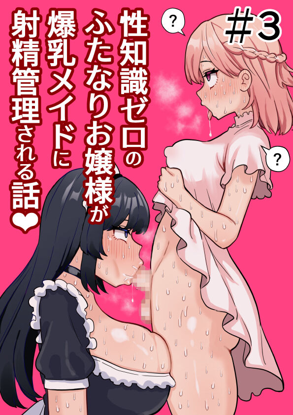 [Hotaru] Seichishiki Zero no Futanari Ojousama ga Bakunyu Maid ni Shaseikanri Sareru Hanashi  #3 image number 1
