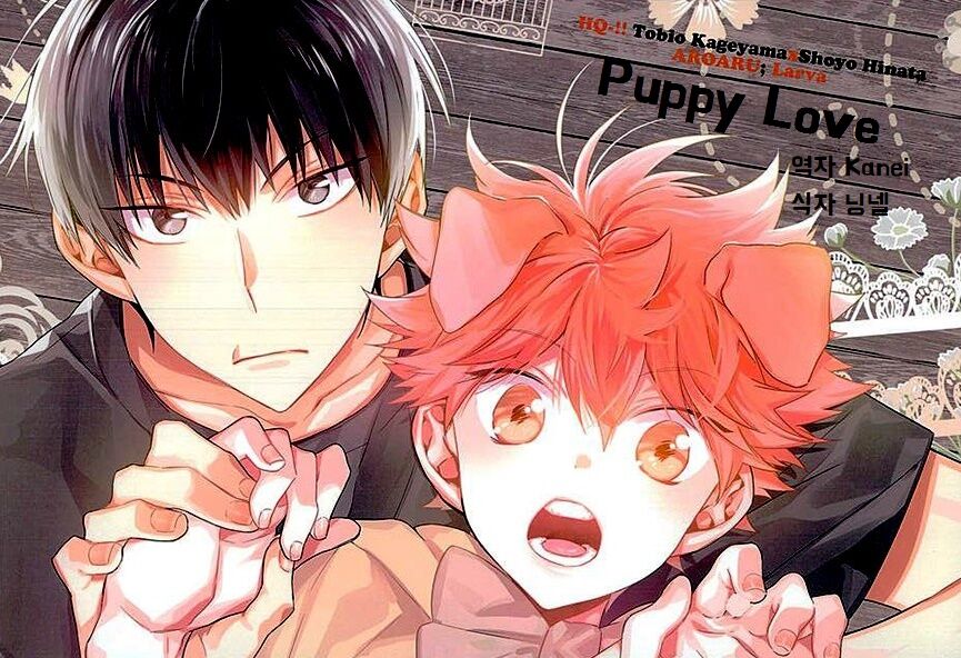 [AROARU Larva] Haikyuu!! dj – Puppy love image number 1