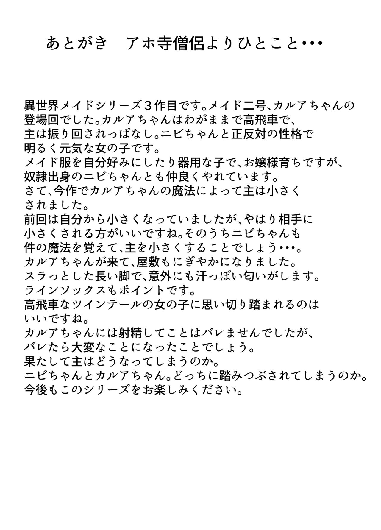 [shivharu] Isekai Maid Ashi Feti Monogatari 3 画像番号 42