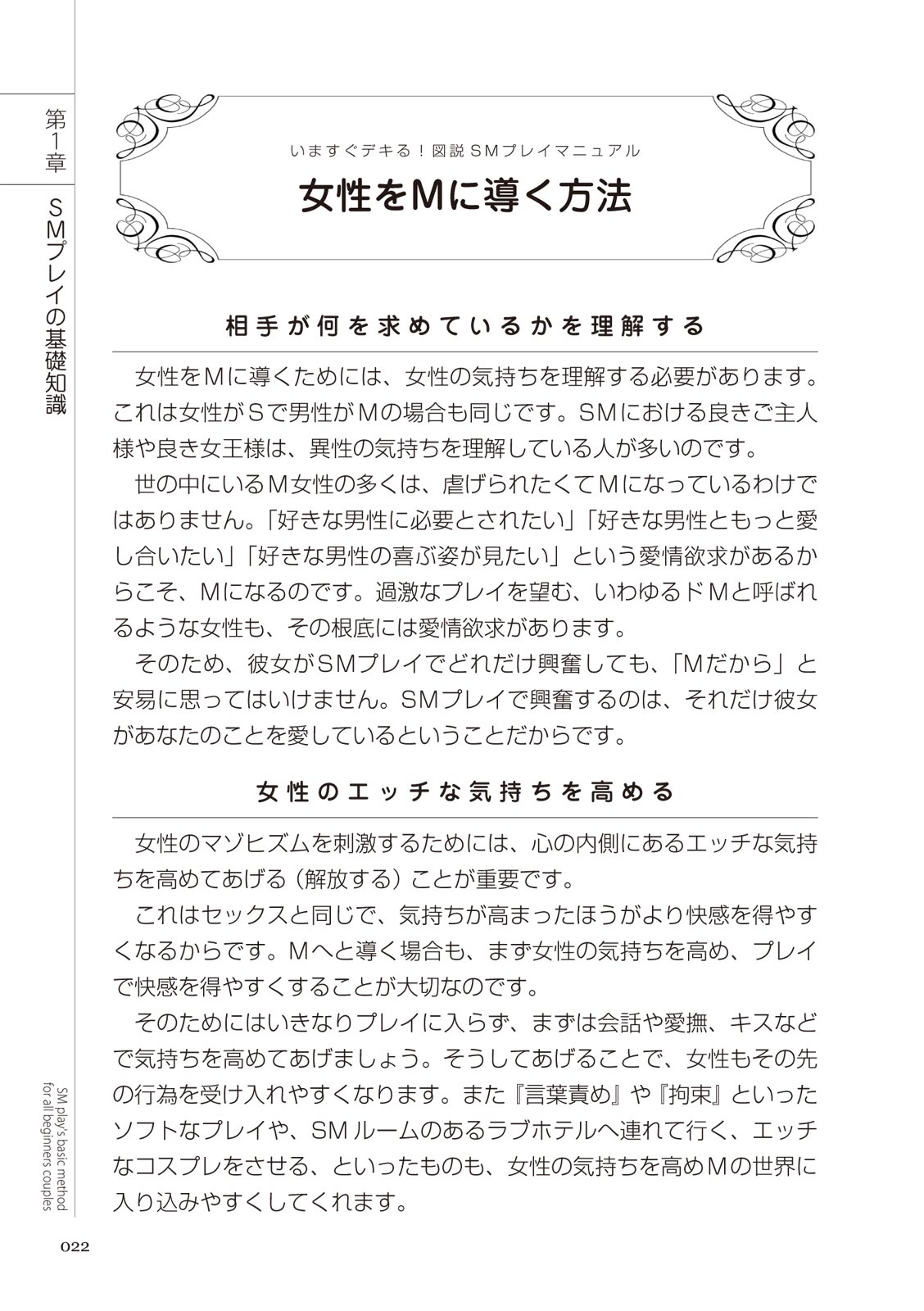 いますぐデキる 図説SMプレイマニュアル Bildnummer 22