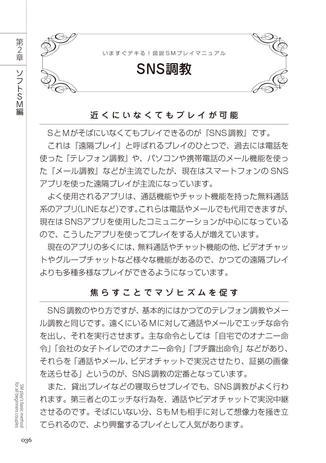 いますぐデキる 図説SMプレイマニュアル Bildnummer 36