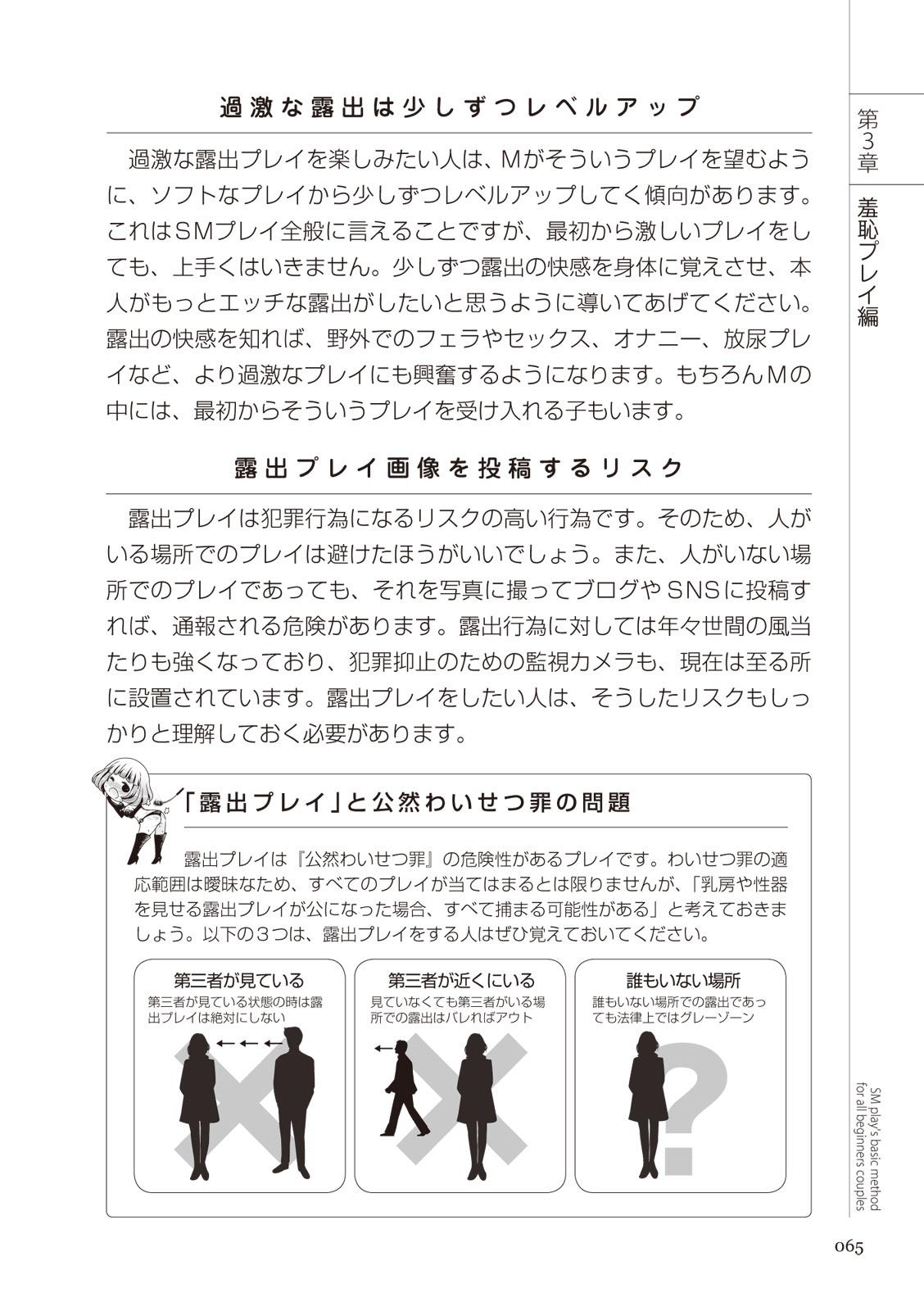 いますぐデキる 図説SMプレイマニュアル Bildnummer 65