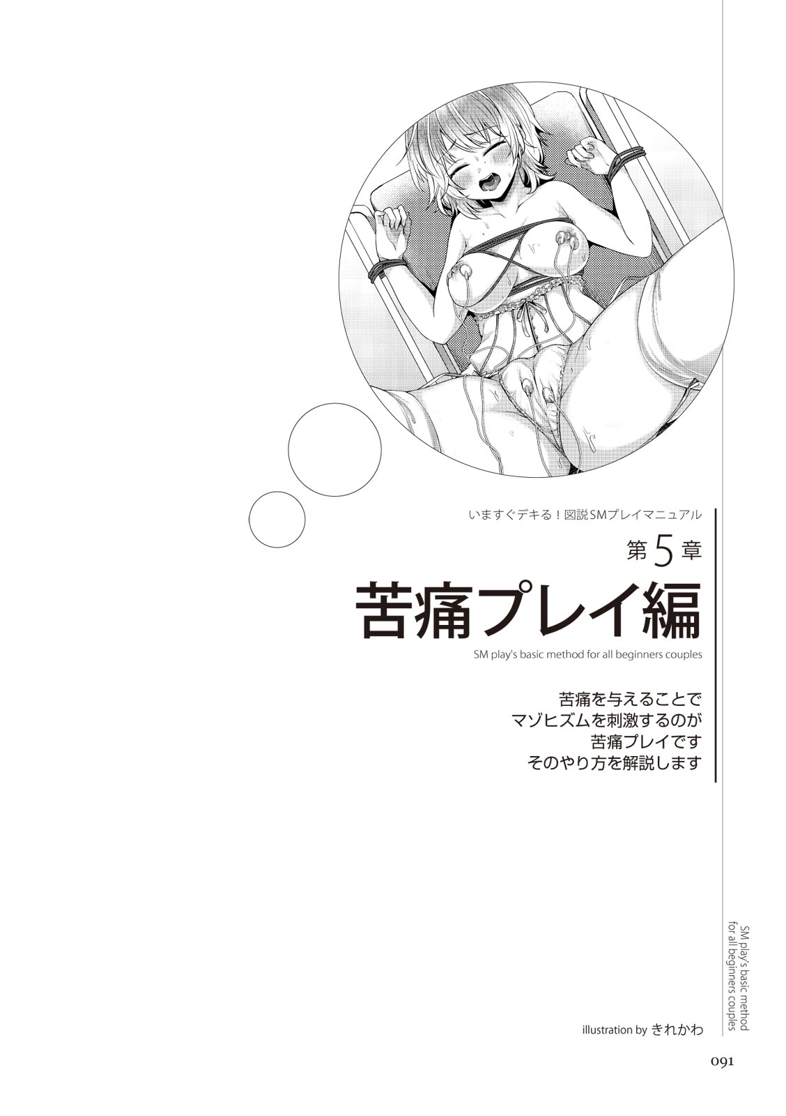 いますぐデキる 図説SMプレイマニュアル Bildnummer 91
