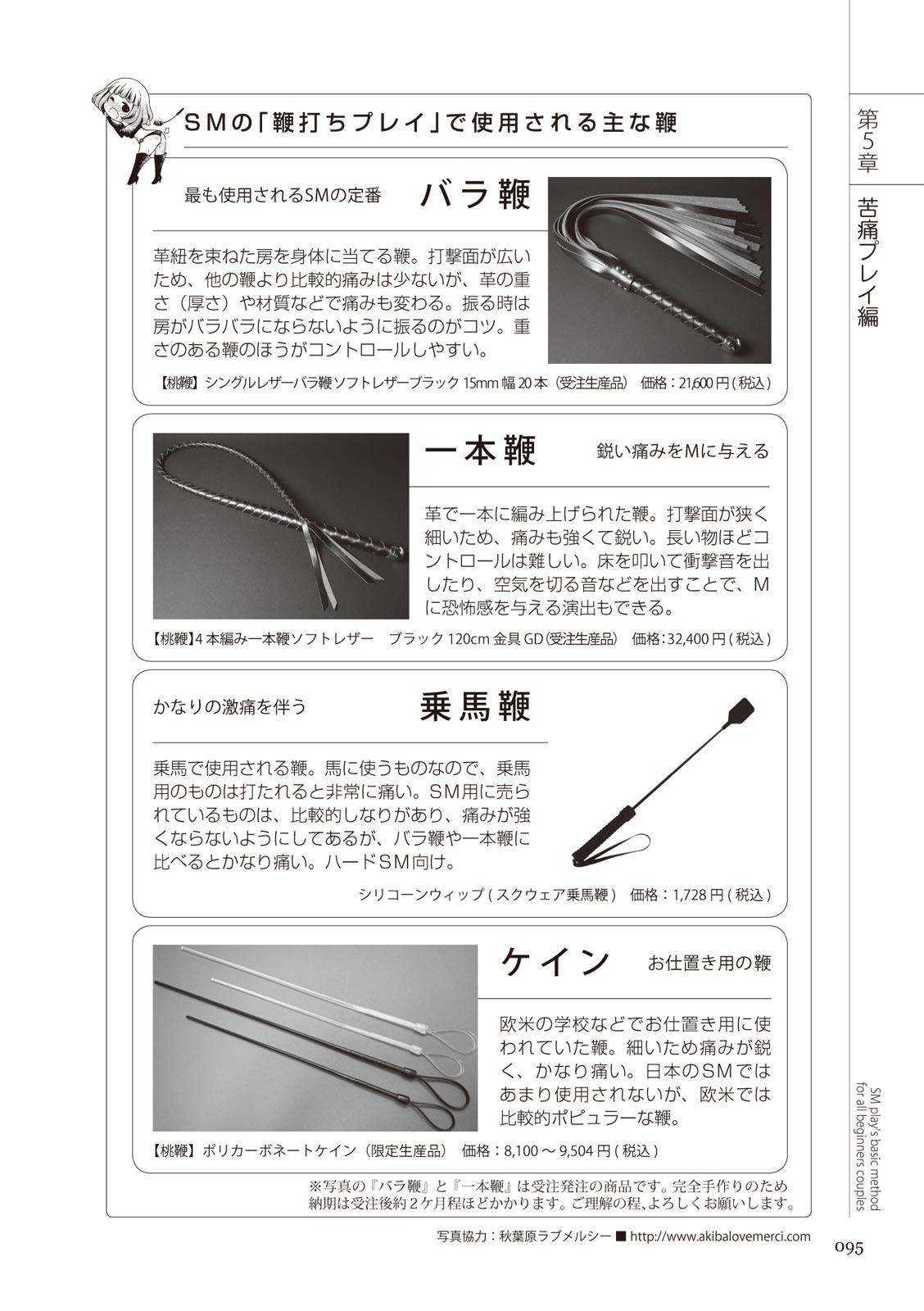 いますぐデキる 図説SMプレイマニュアル Bildnummer 95