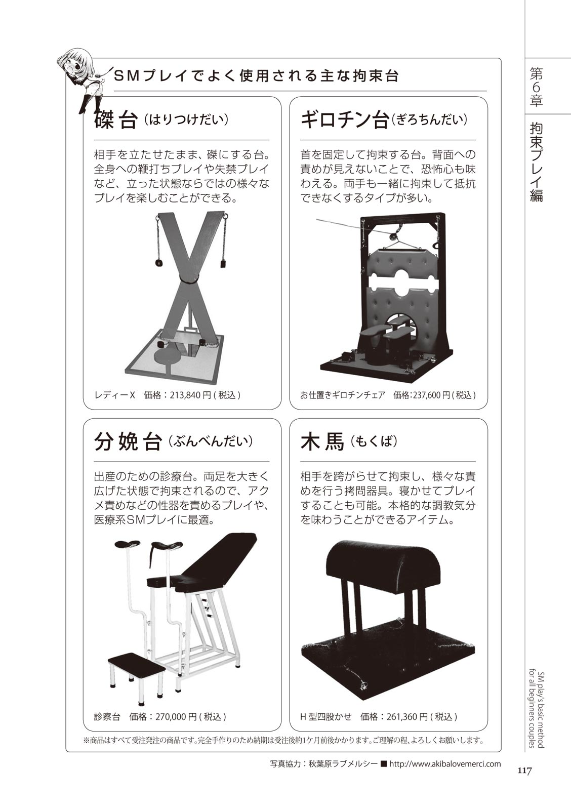 いますぐデキる 図説SMプレイマニュアル Bildnummer 117