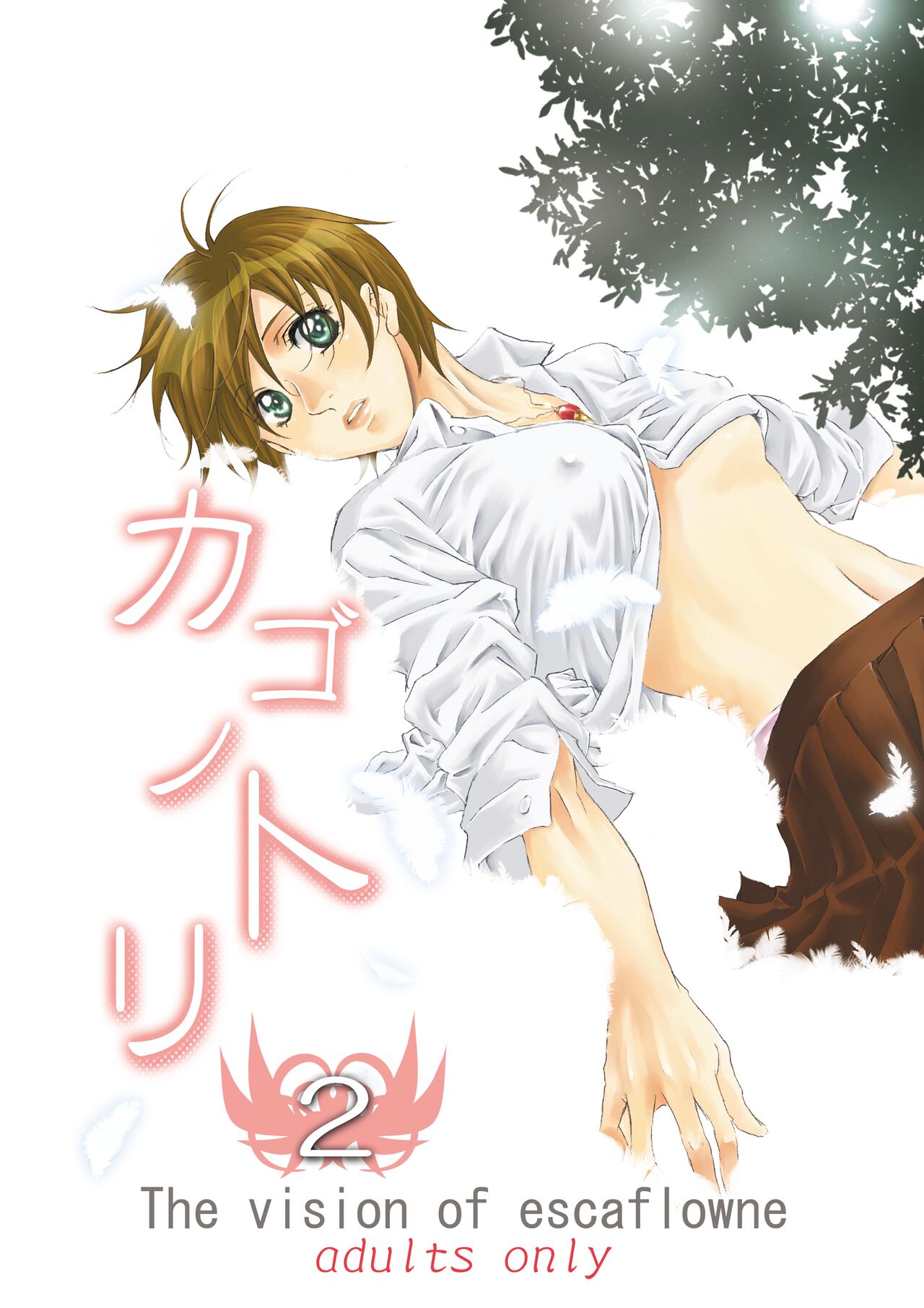 [Tajima Minato] Bird in a Box 2 (Tenkuu No Escaflowne) image number 1