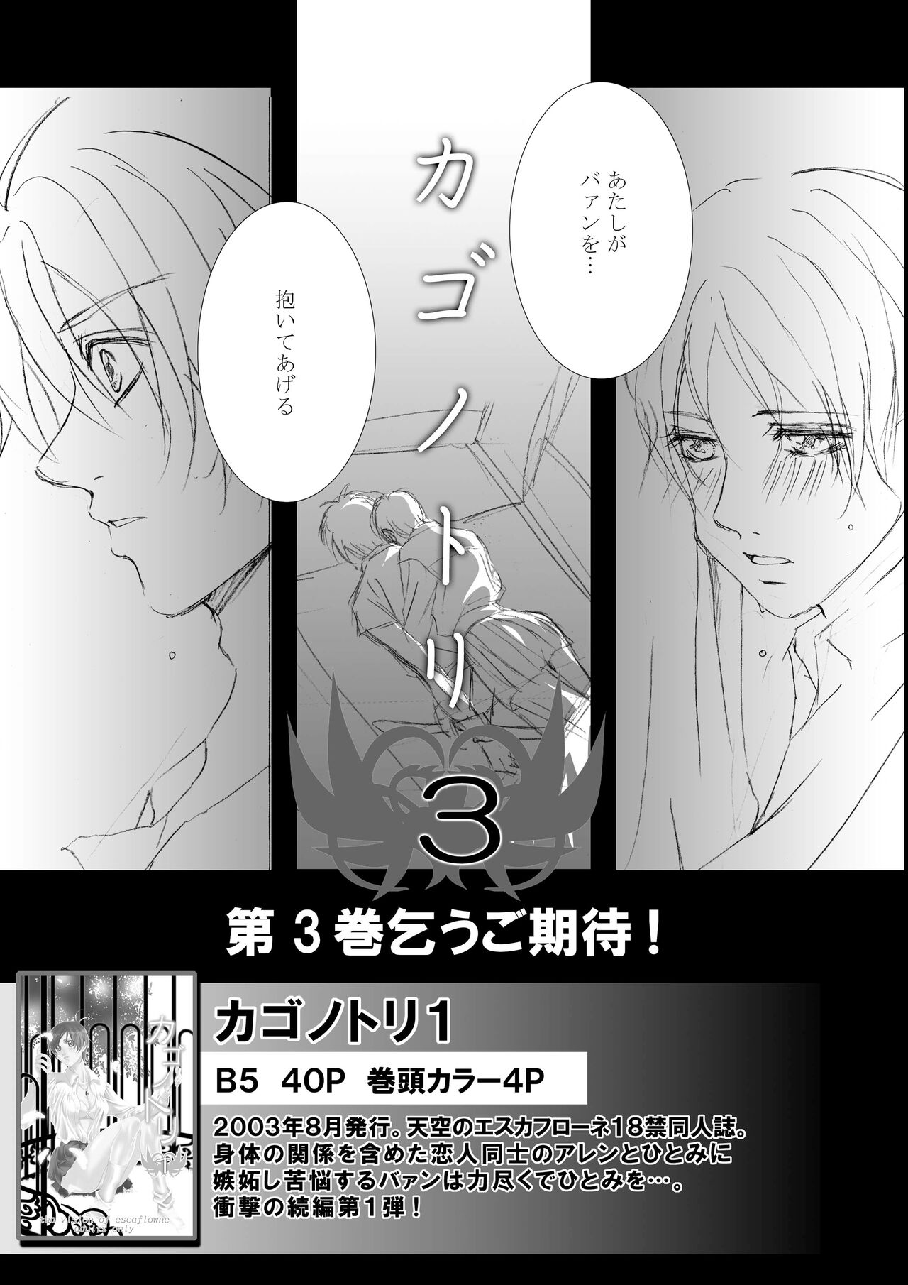 [Tajima Minato] Bird in a Box 2 (Tenkuu No Escaflowne) image number 38