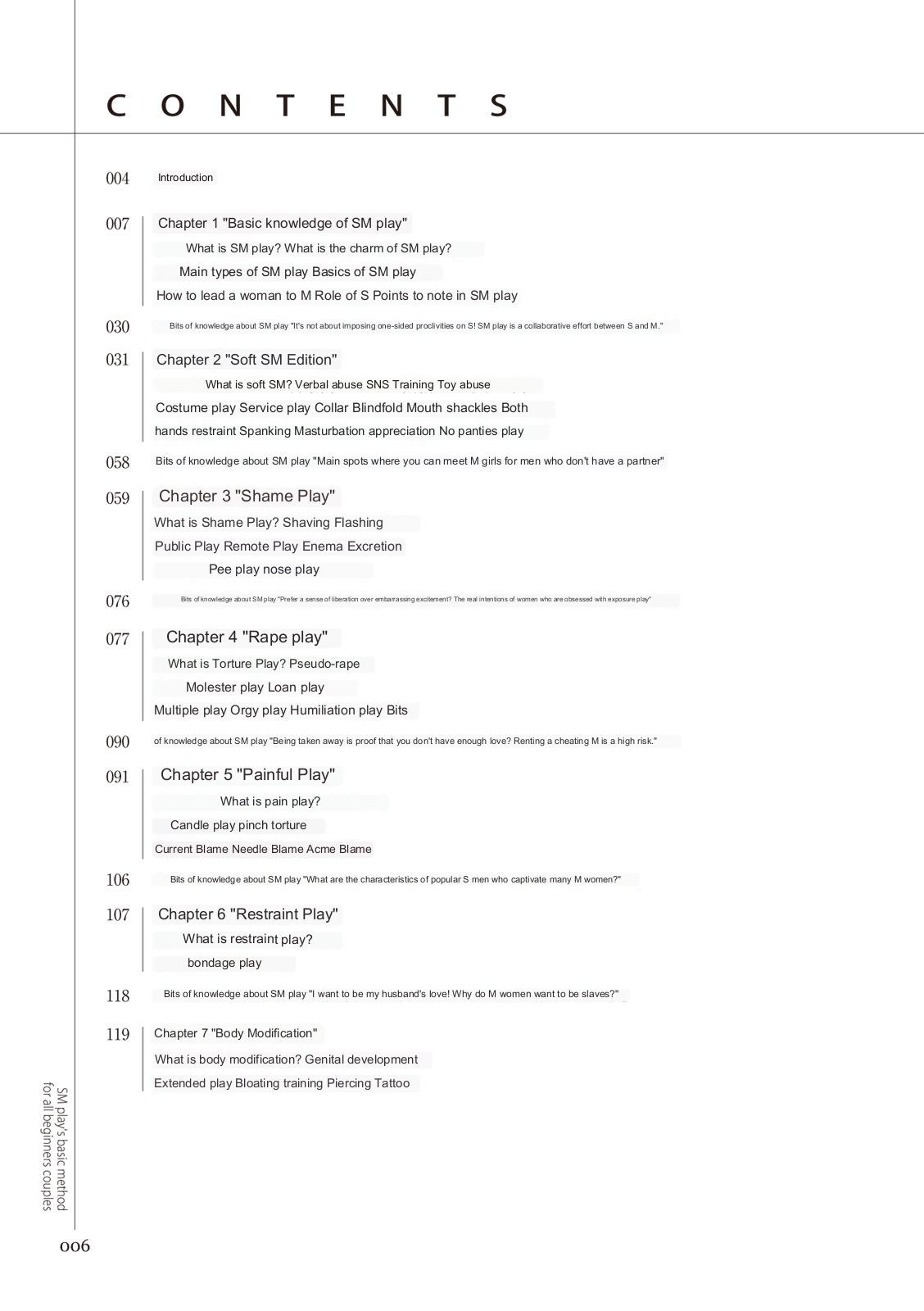 SM play manual numero di immagine  2