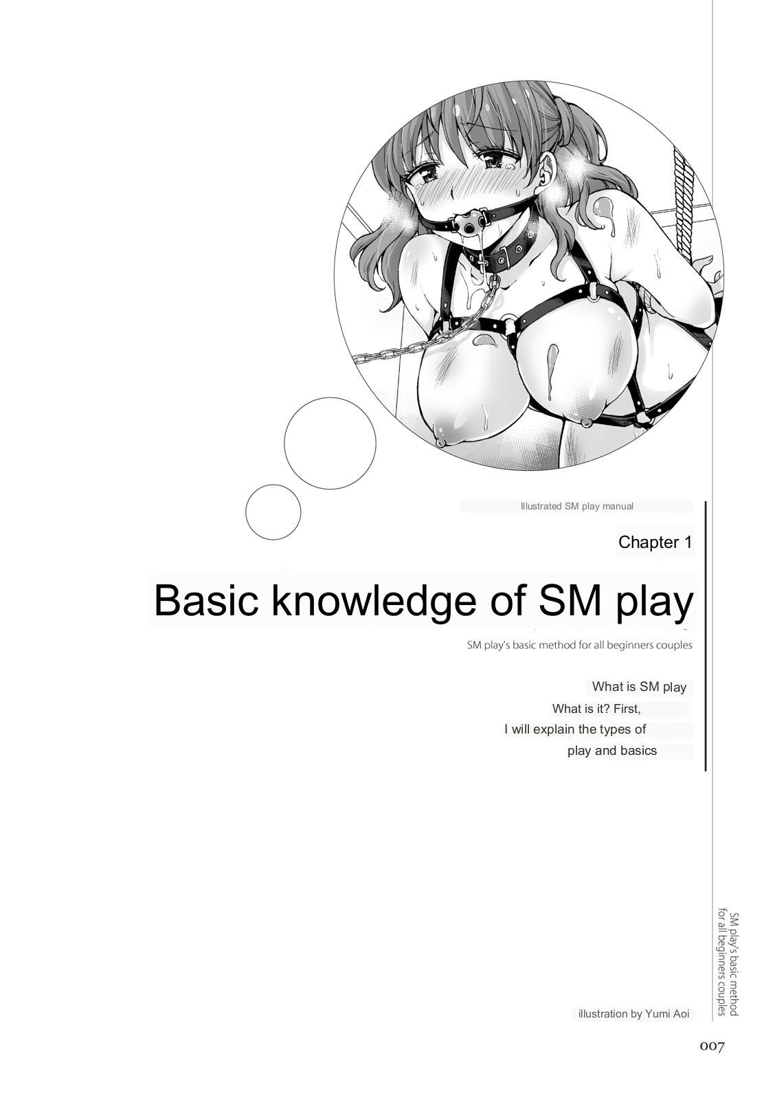 SM play manual numero di immagine  5