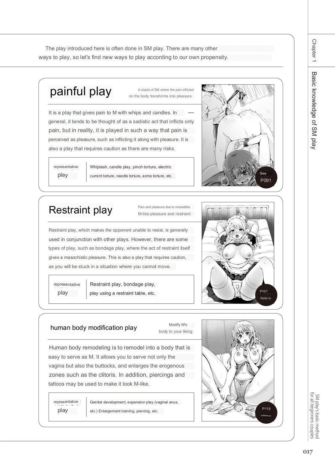 SM play manual numero di immagine  15