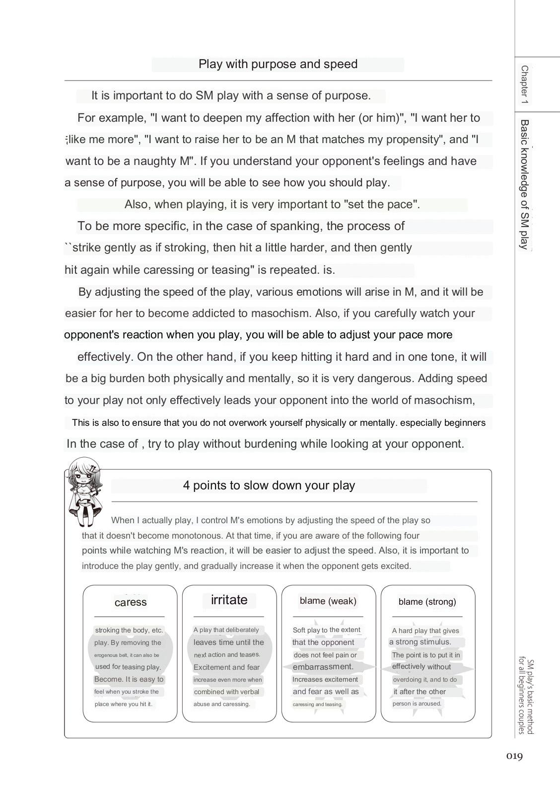 SM play manual numero di immagine  17