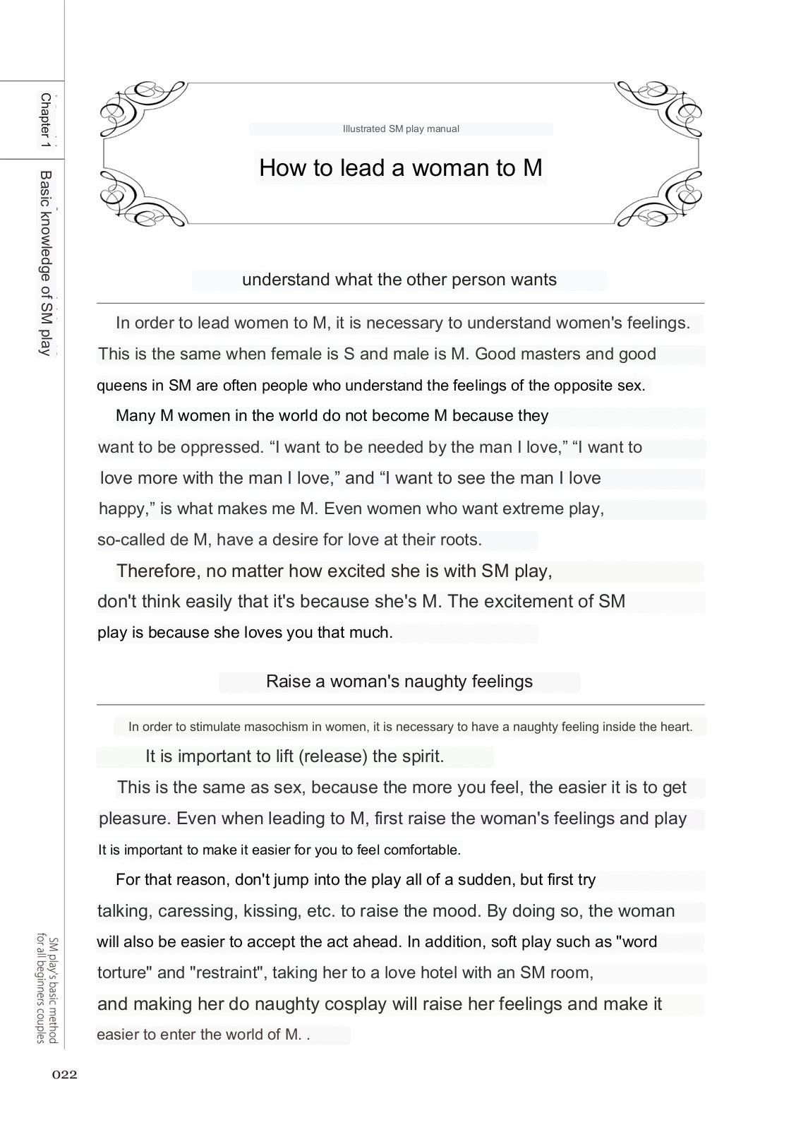 SM play manual numero di immagine  20