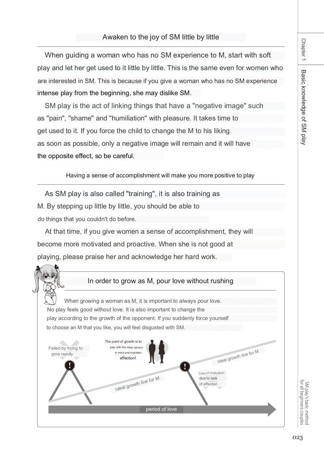 SM play manual numero di immagine  21